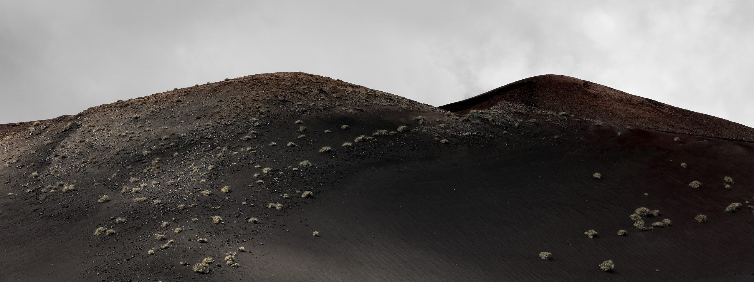 Terra Mater